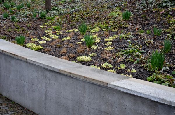 Cost of Concrete Wall Pouring in Gaithersburg