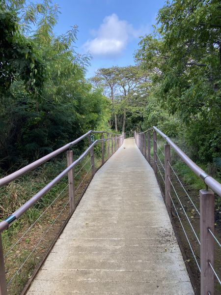 Cost of Footpath Construction in Gaithersburg