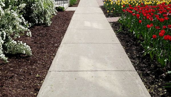 Cost of Cement Sidewalk Installation in Gaithersburg