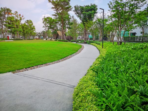 Cost of Cement Walkway Service in Gaithersburg